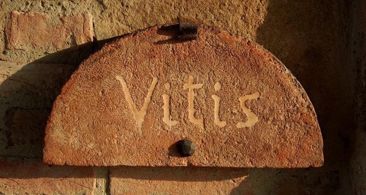 #<Apartment:0x00007f2e7caa0dc8> view 20