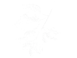 Morus apartment view