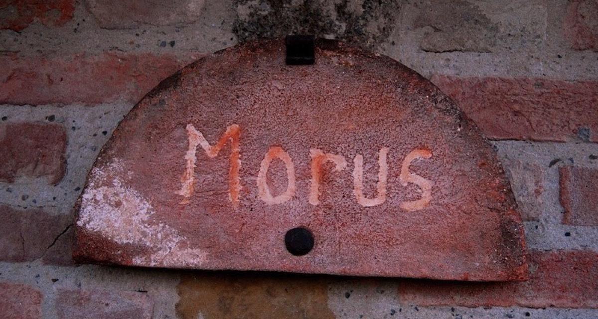 #<Apartment:0x00007f2e7762a280> view 16