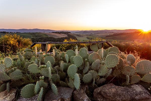 around the house @cunina 63