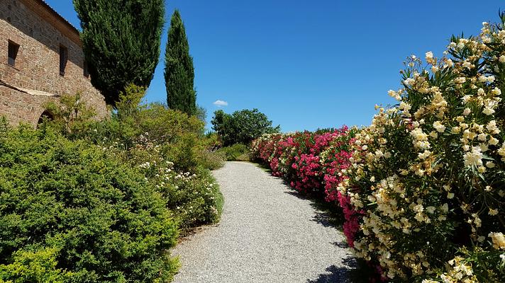 around the house @cunina 50