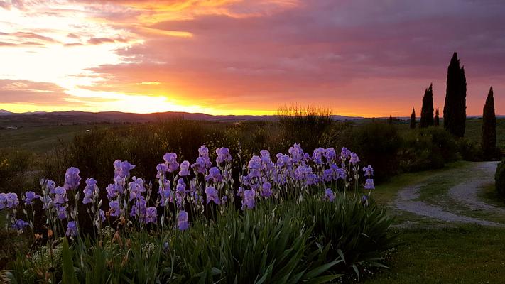 around the house @cunina 70