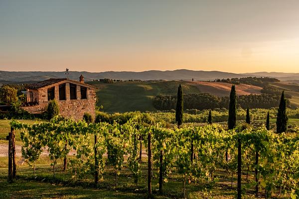 around the house @cunina 71