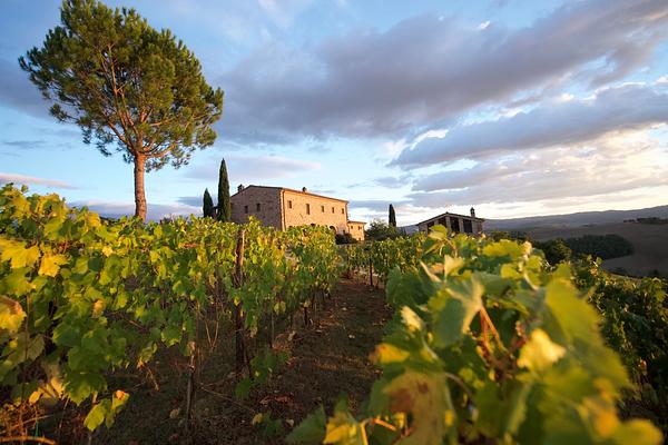 around the house @cunina 67