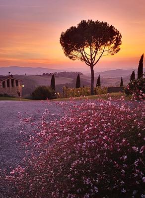 around the house @cunina 32