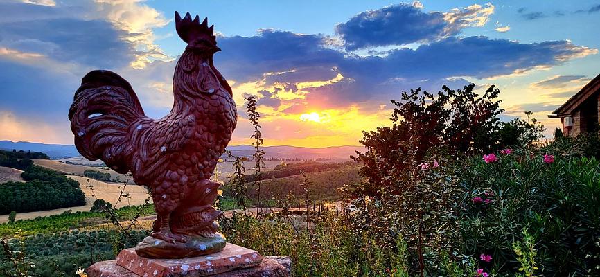 around the house @cunina 42