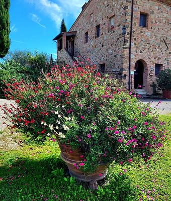 around the house @cunina 44