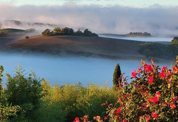 around the house @cunina 14