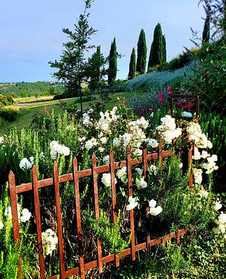 around the house @cunina 22