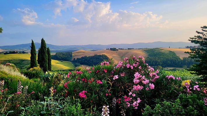 around the house @cunina 4