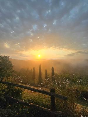 around the house @cunina 13