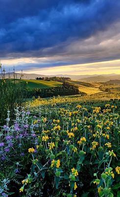 around the house @cunina 27