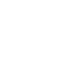 Vitis apartment view