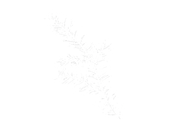 Taxus apartment view