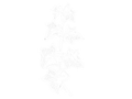 Hedera emblem