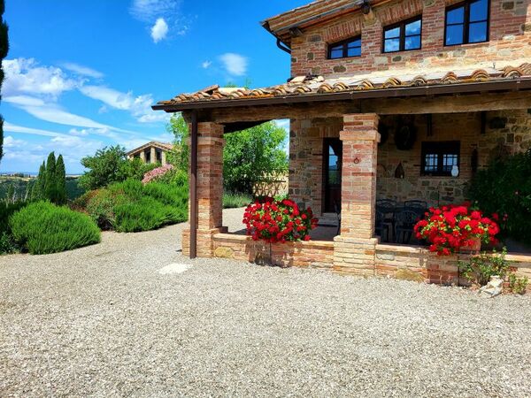 Vitis cover